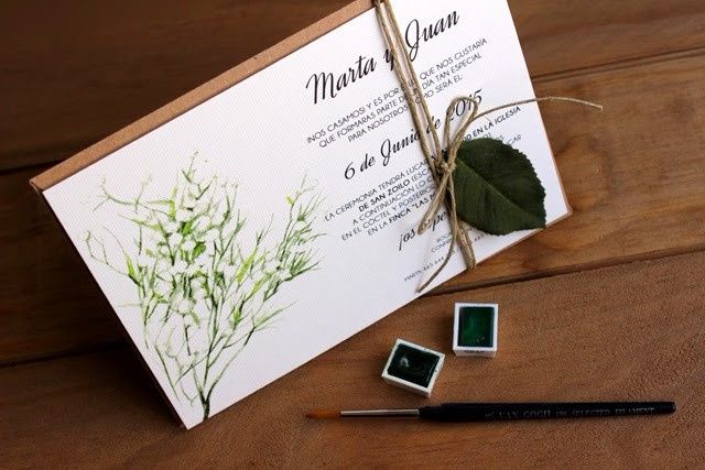 Verde 2