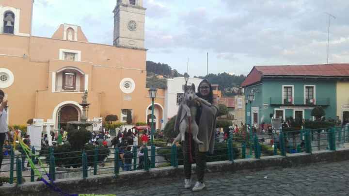 su primer paseo despues de cubrir todas sus vacunas
