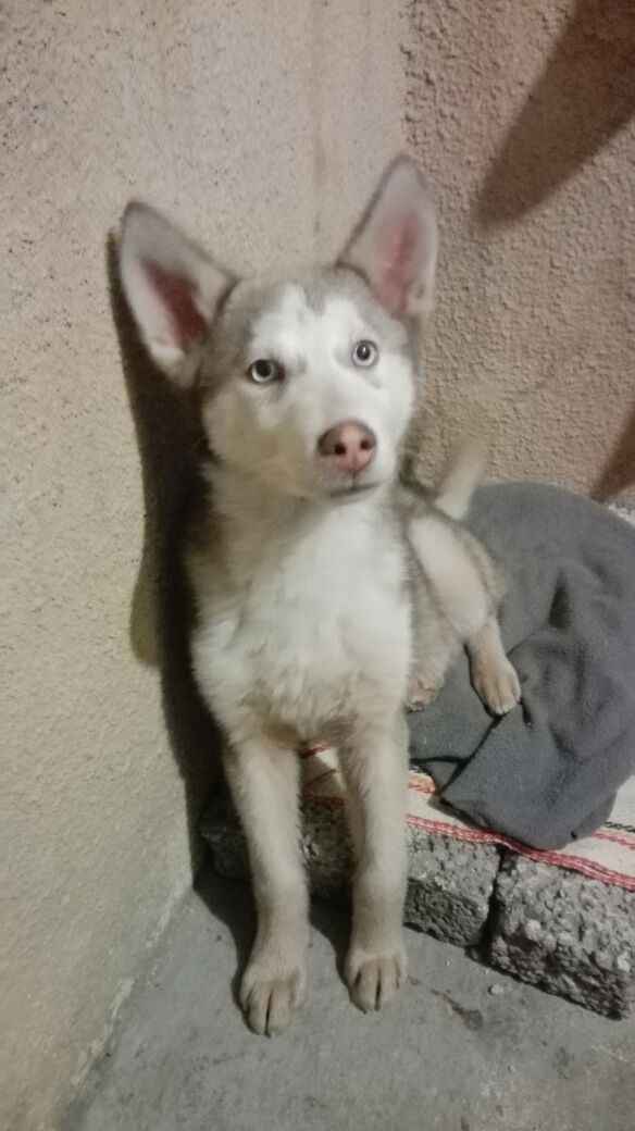 el primer día que llego todo chiquito y asustado