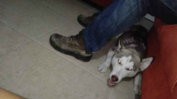 Le encanta estar entre el sillon y los pies