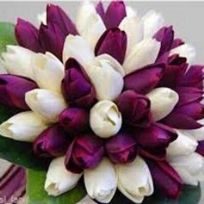 Tipo de flores para boda Moradas 3