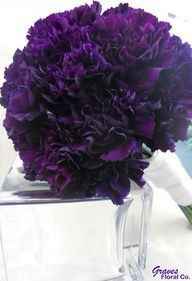 Clavel