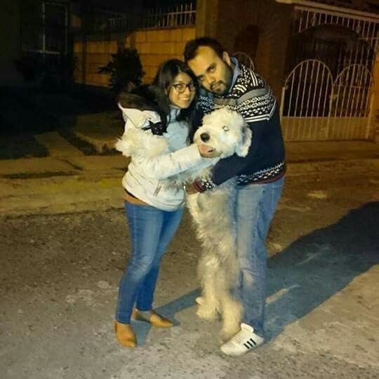 Reto con regalo: Sube una foto con tu pareja🎁 - 1