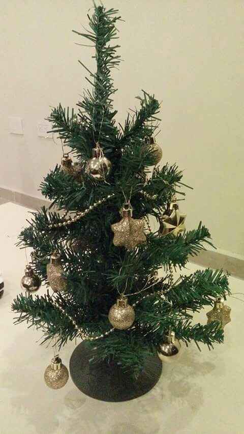 Nuestro primer arbolito juntos - 1