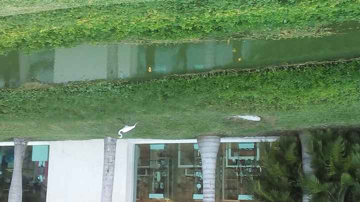 ¿que hotel me recomiendan en cancun? - 5