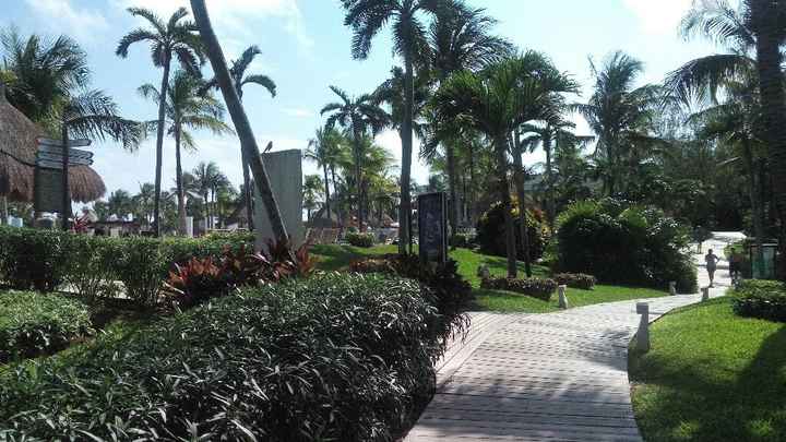 ¿que hotel me recomiendan en cancun? - 7