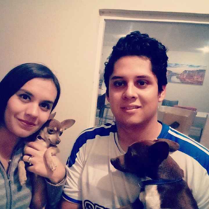 ¿Tendrán una mascota ya casados? - 1
