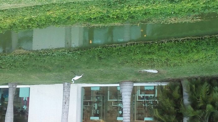 ¿que hotel me recomiendan en cancun? - 5