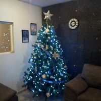 primera navidad juntos - 2
