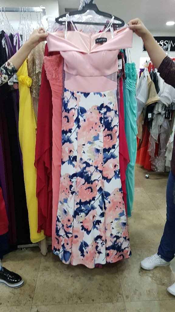 Vestido de las Damas - 1