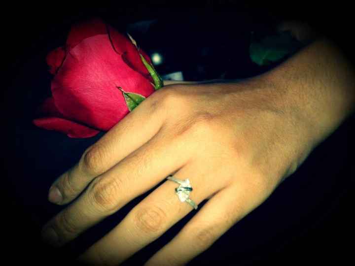Mi sorpresa Romántica Karla - 1