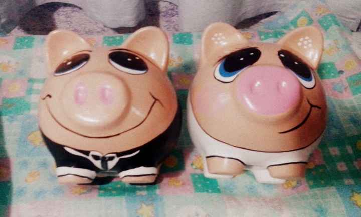 Mis puercos novios o - 2