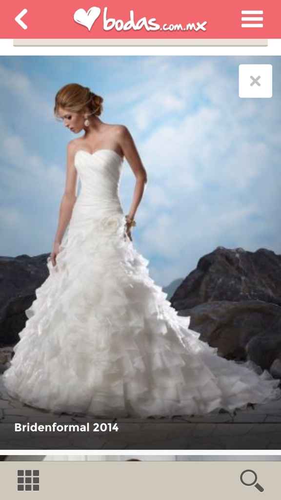 El vestido. - 1