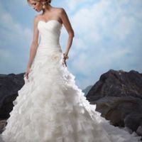 El vestido. - 1
