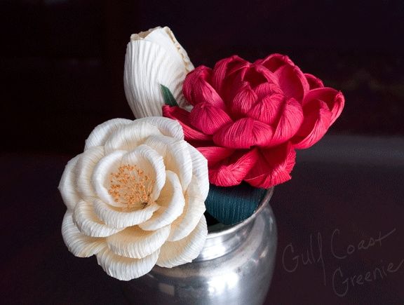 Flores