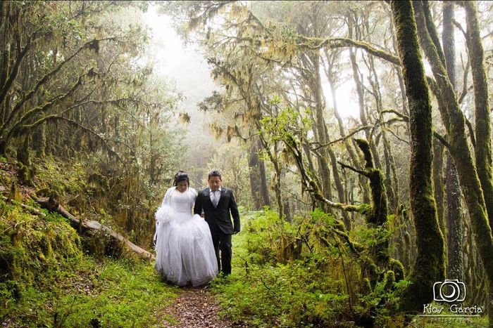 Bosque Mesófilo Ixtlán Oaxaca 5
