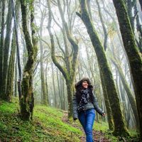 Bosque Mesófilo Ixtlán Oaxaca 2