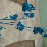 flores pintdas con spray