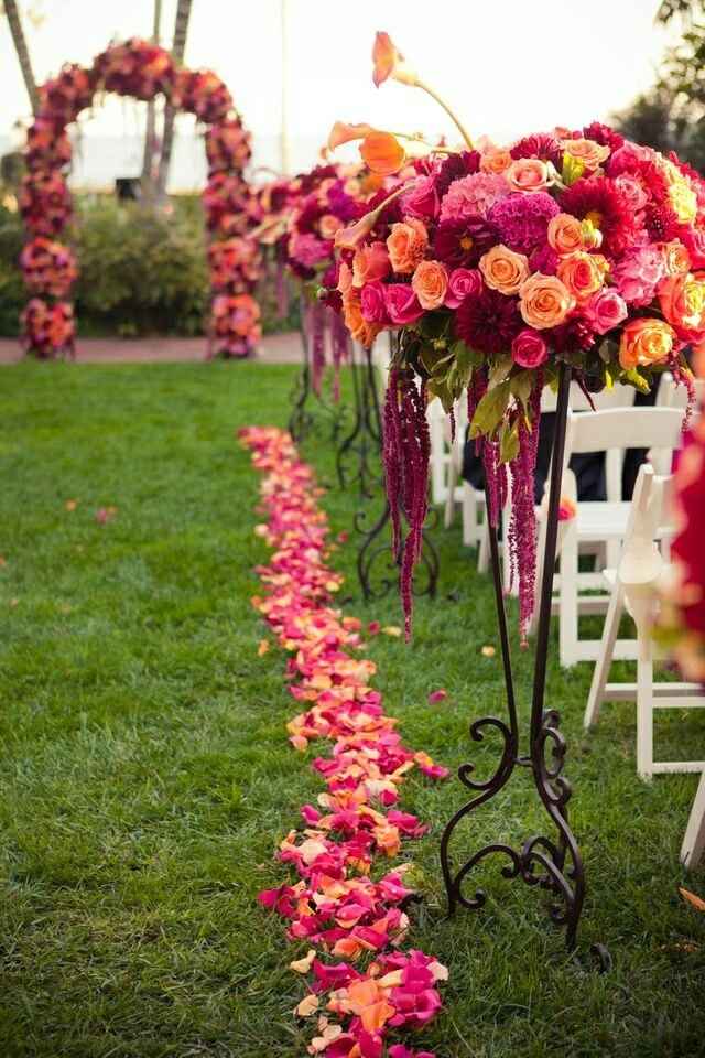 Fiusha vs naranja - 2