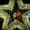 Ivette
