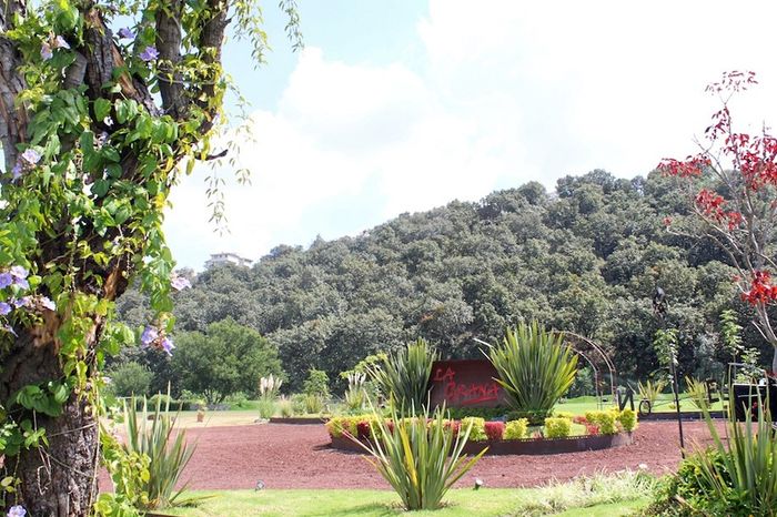 La terraza.1