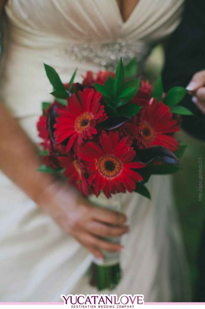 Me ayudas a encontrar mi ramo? - 2