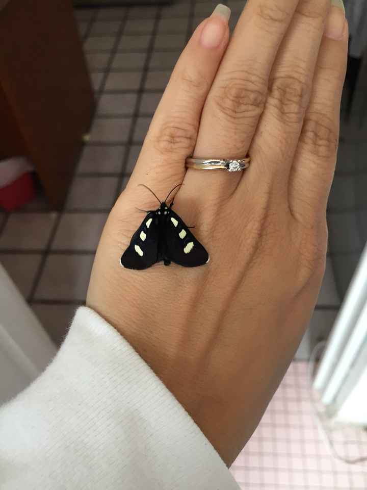 ¡Presume tu anillo! 💍 - 1