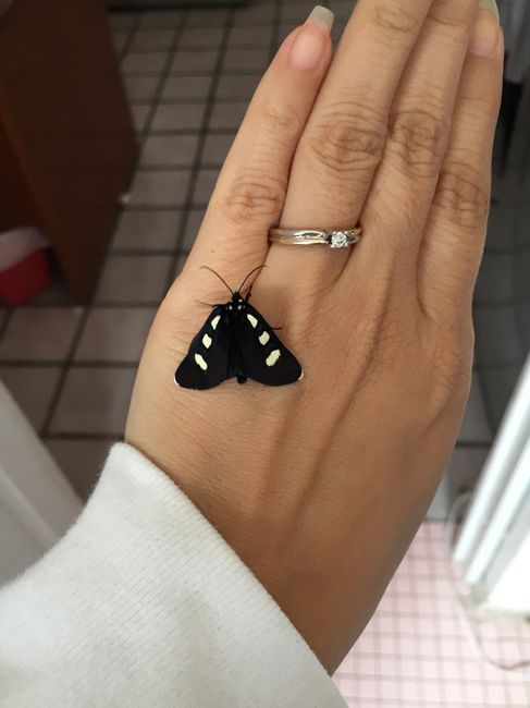 ¡Presume tu anillo! 💍 - 1