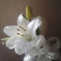 Como les pidieron matrimonio - 1