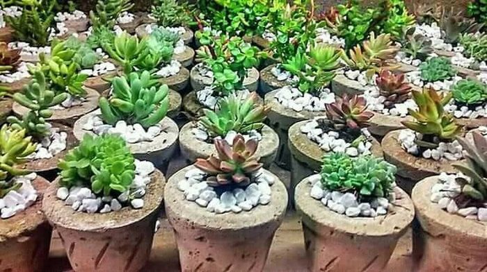 Despedida de soltera!!! - 2