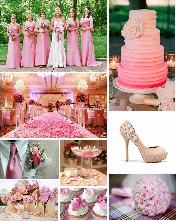 Rosa...