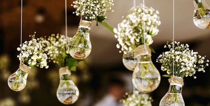 Boda eco friendly? - 6