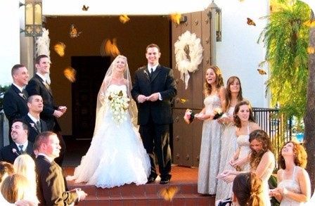 Mariposas