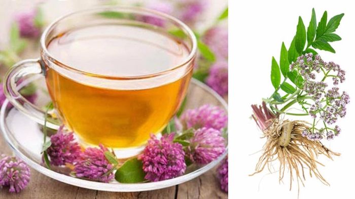 Valeriana