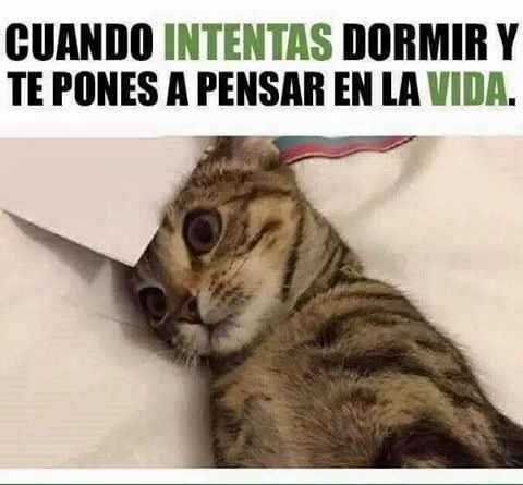 pensar en la vida... y en la boda!!