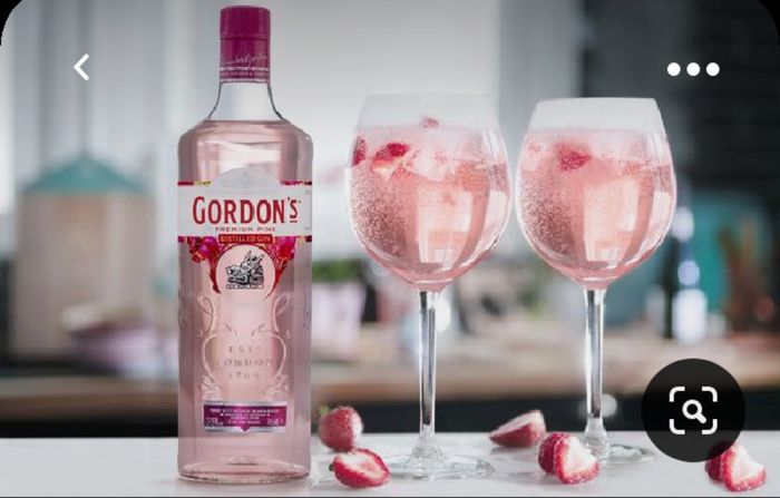 Cocktail de Bienvenida en Rosa!! 1
