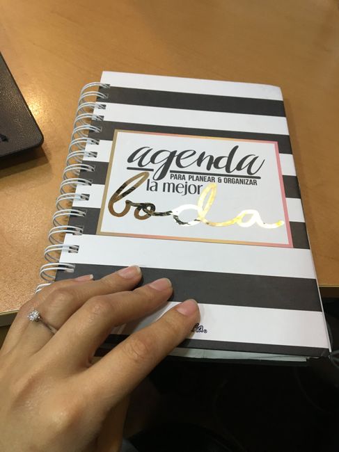 Vale la pena comprar una agenda de Novia? - 1