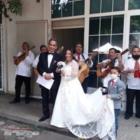 Boda petit (máximo 25 personas) en Cdmx, help - 1