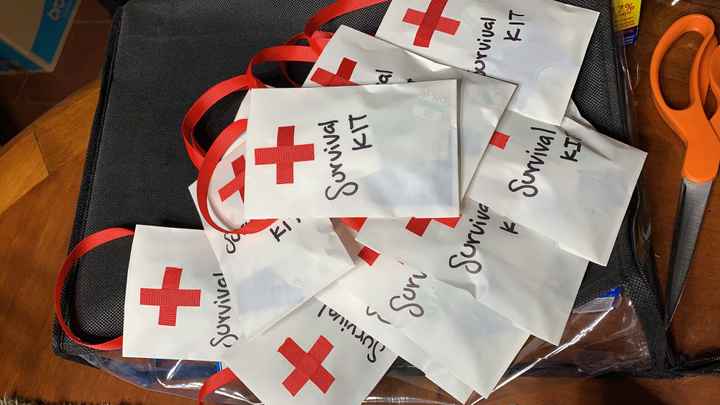 diy Kit anticruda - 1