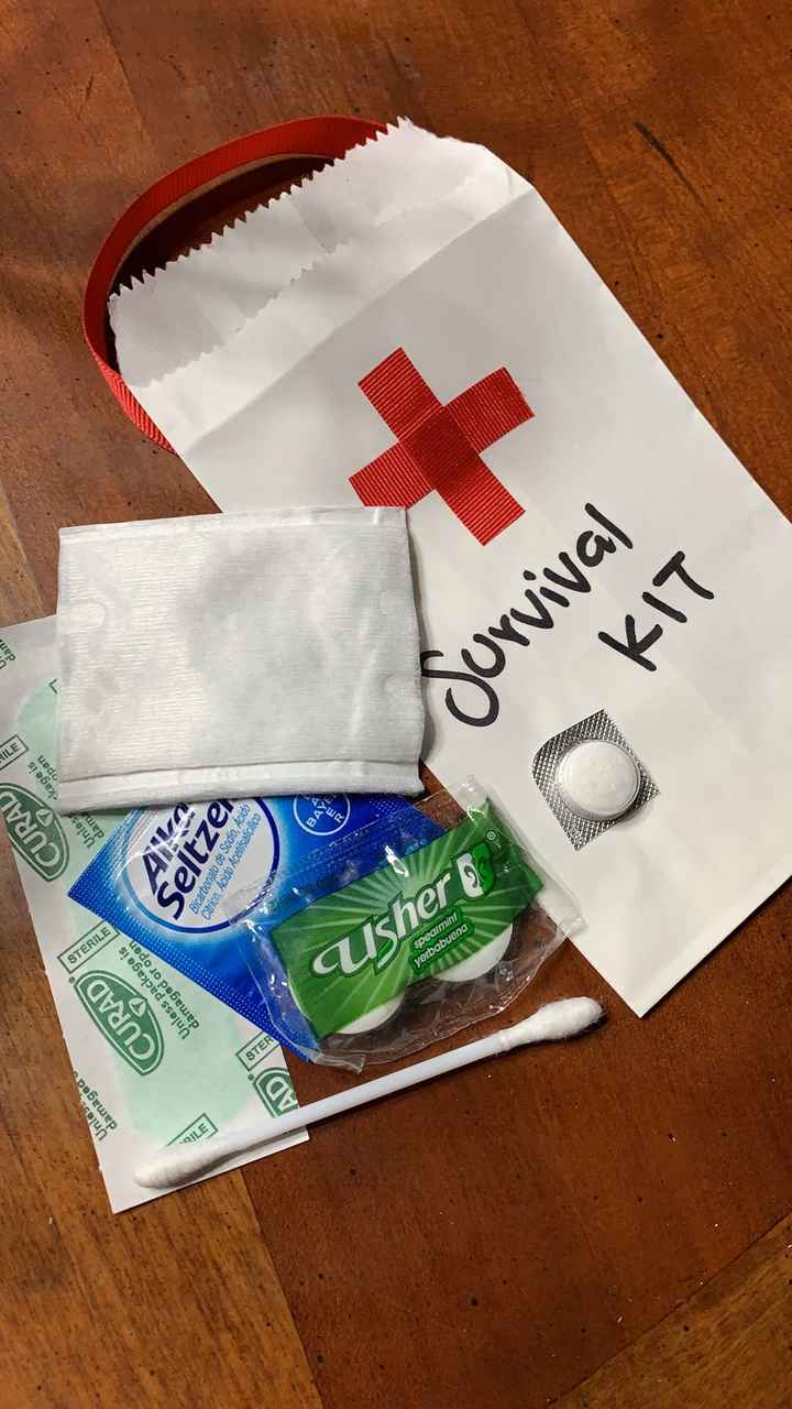 diy Kit anticruda - 2