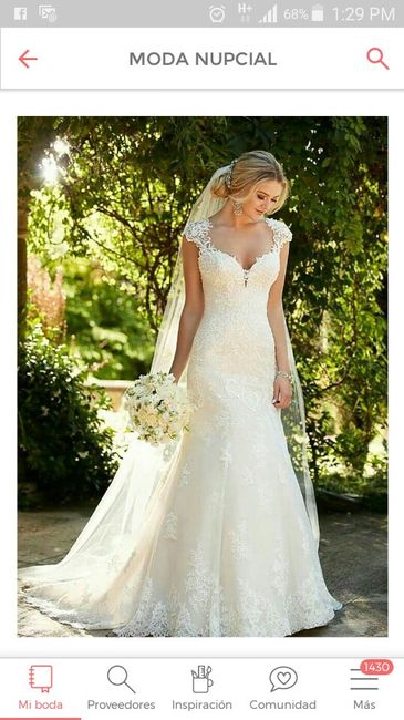 Mi boda de alfombra roja 1