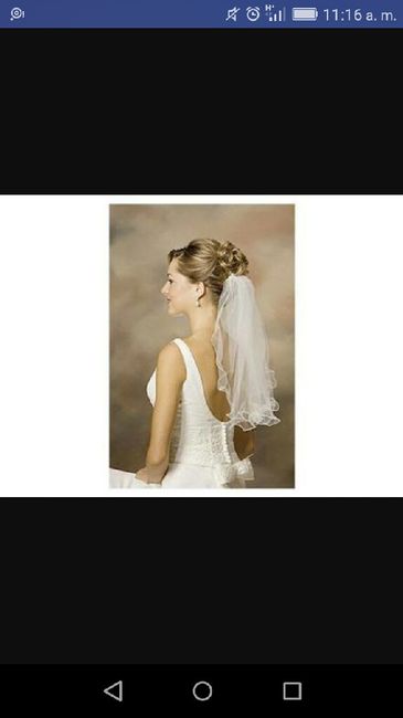 Peinados para velo corto - 1