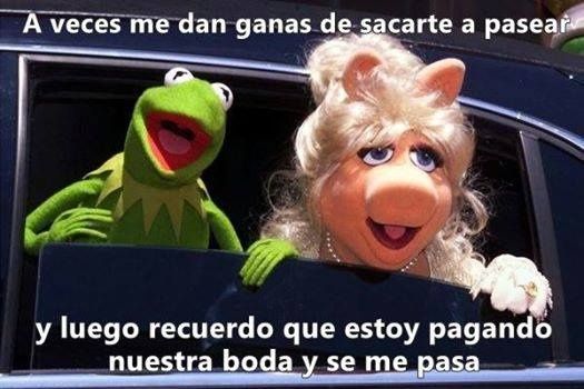 por eso no te saco a pasear