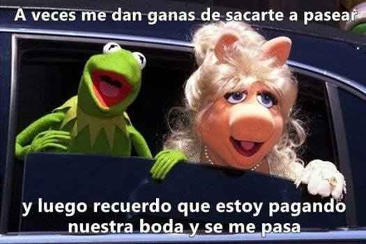 por eso no te saco a pasear