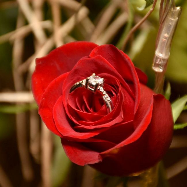 Fotos de anillos de compromiso con flores 💍 6