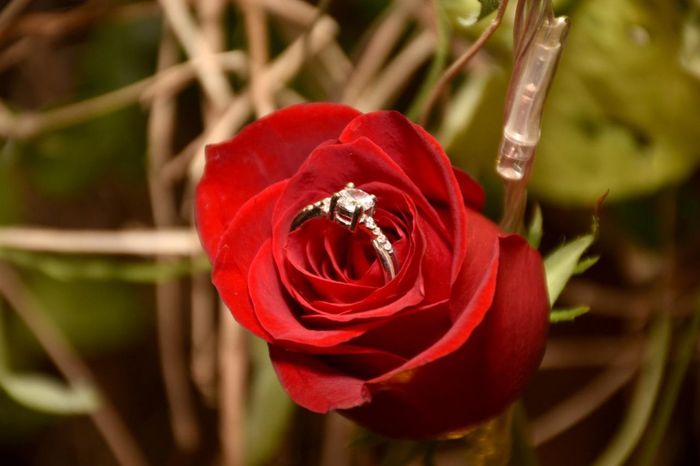 Tu anillo de compromiso 💍 ¡en el Pinterest de bodas.com.mx! - 2
