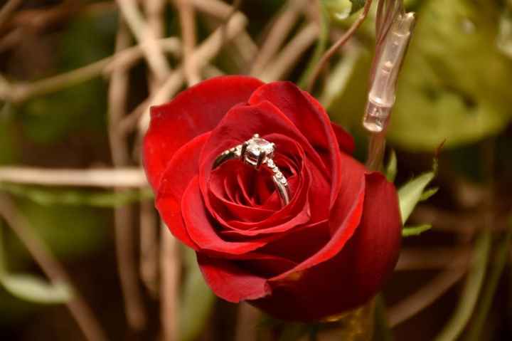 Tu anillo de compromiso 💍 ¡en el Pinterest de bodas.com.mx! - 2