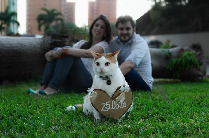 Save the date con mascotas ❤️ - 10