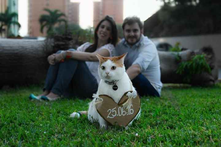 Save the date con mascotas ❤️ - 10