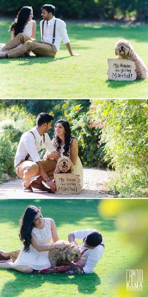 Save the date con mascotas ❤️ - 11